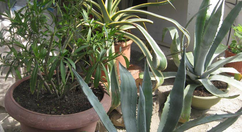 Гостиница Guest House Ugolok Алушта-22