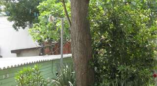 Гостиница Guest House Ugolok Алушта-2